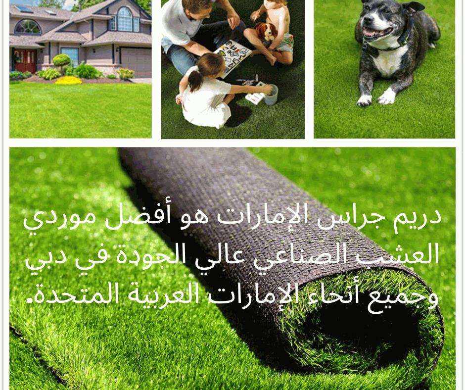  Artificial Grass Suppliers In Dubai Grass Carpet Wholesaler In UAE